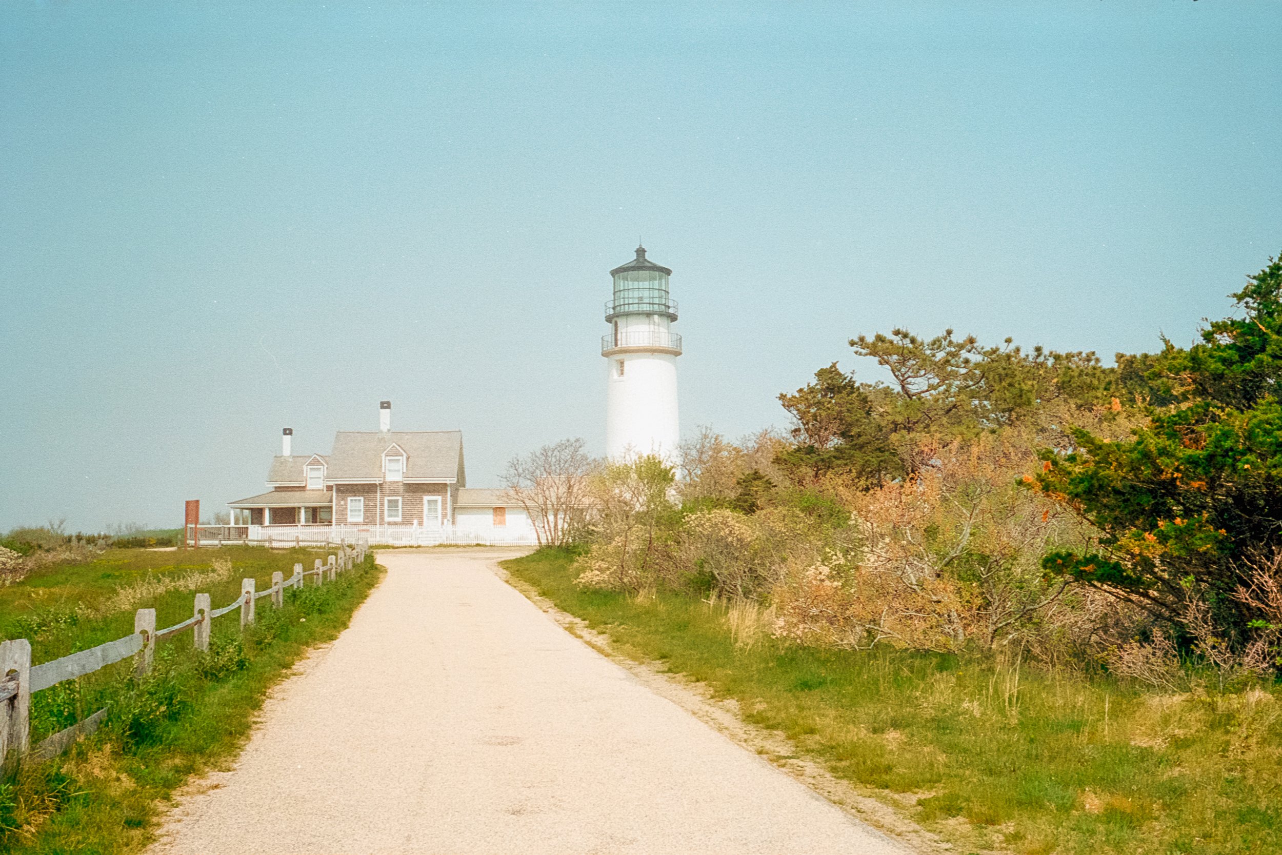 Portra80062-2-2e.jpg