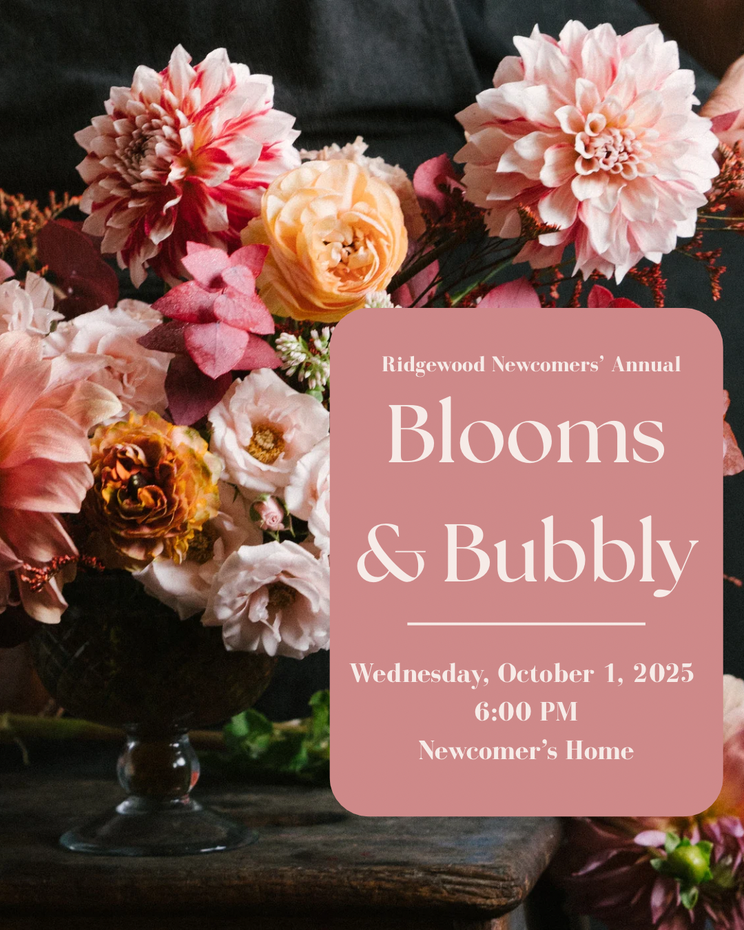 Blooms & Bubbly