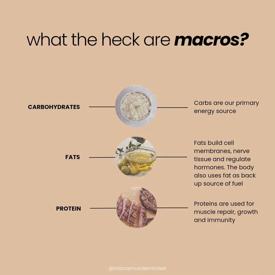 UNDERSTANDING MACROS and ENERGY
.
.
🔎Our body uses 3 main sources for energy. These are protein, fats and carbohydrates. These three sources are what we call our &ldquo;macronutrients&quot; (or macros). In order to utilise food as energy, the body 