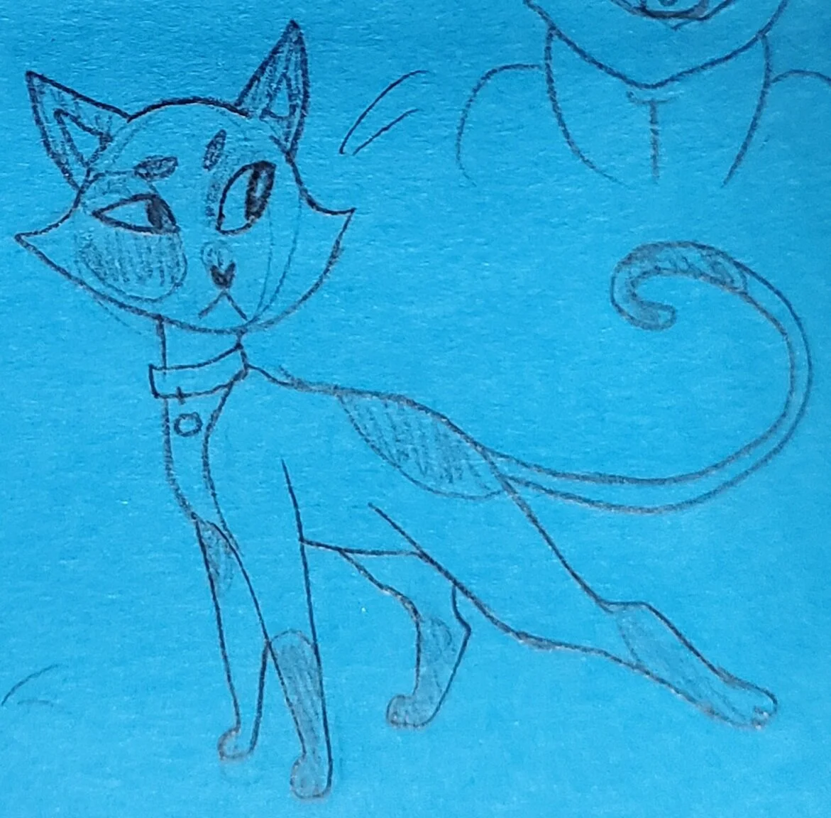 catconcept.jpg