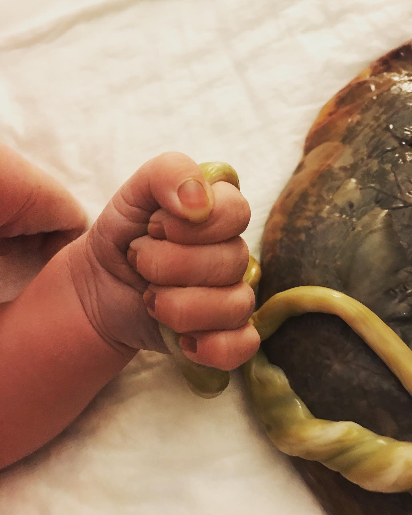 BIG Story in this little hand!! Just 2 hours old here, this little fella weighed 11#! Every nuance of his story highlights the outstanding results that should be possible with well-trained birth pros IN ANY SETTING!! 

* Mama was supported in the pos