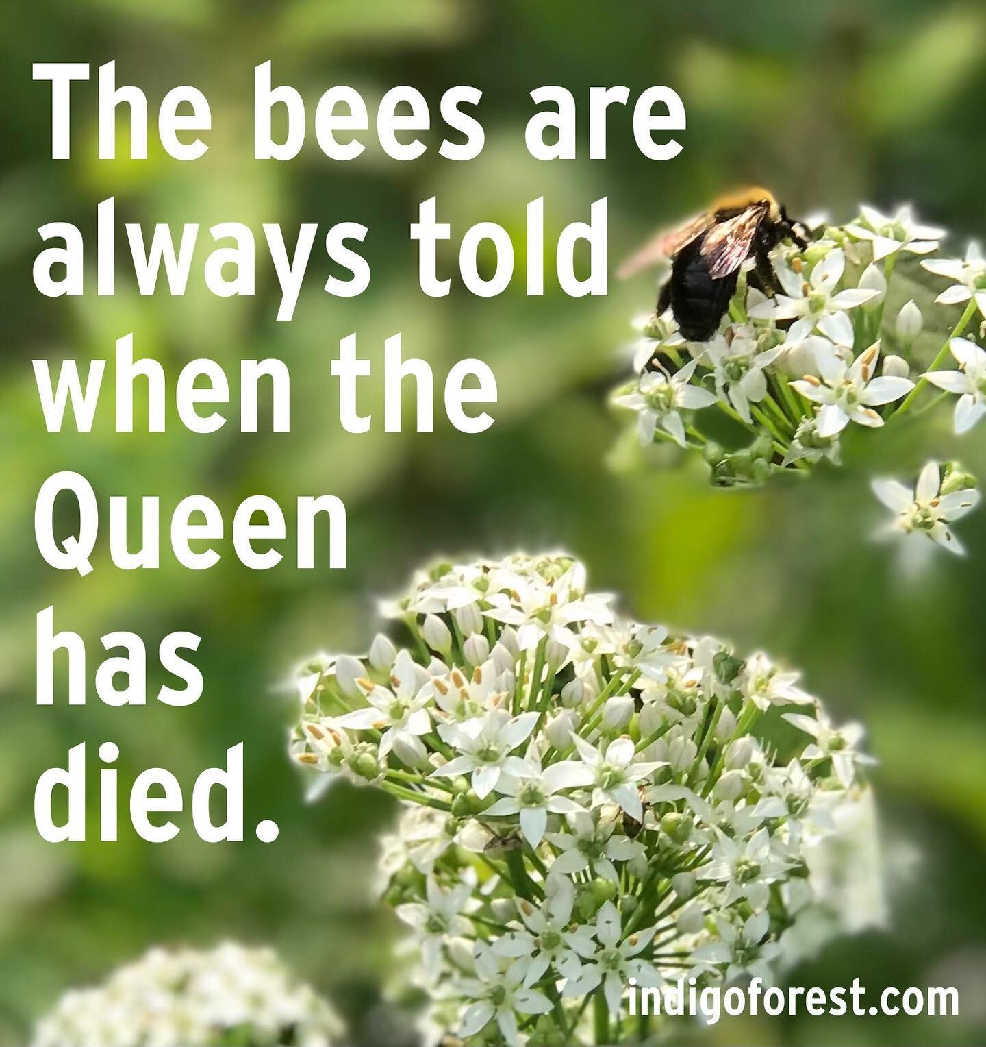 In Europe, folklore since the 1600s has beekeepers knocking on hives and singing to the bees when their master has a child, marries, or someone in the household leaves. If their master dies, the beekeeper softly hums a doleful tune, or serenades in r