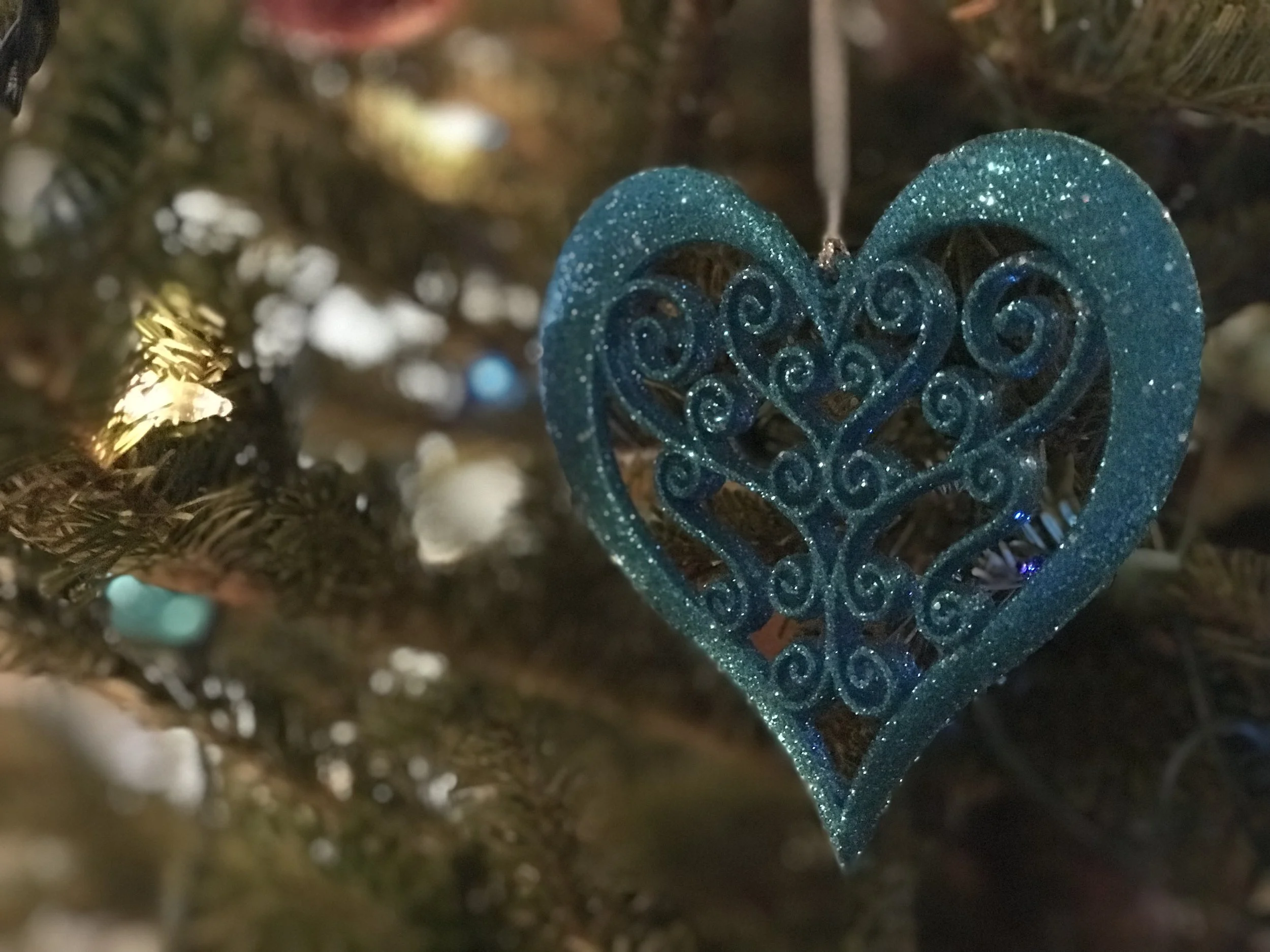 Meaningful Gift Giving: Creating Memories, Not Clutter