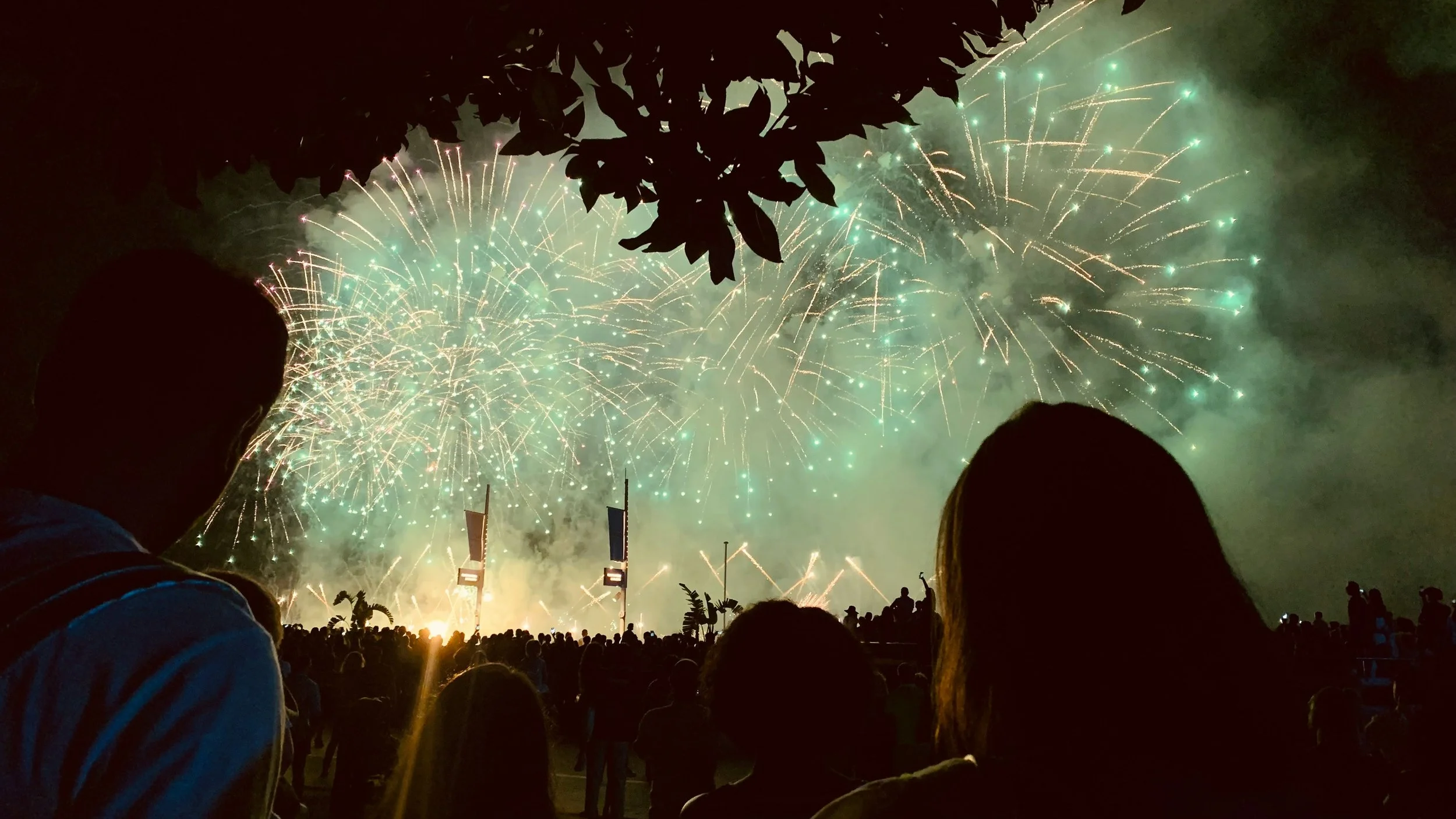 The Fireworks Are Too Loud: Natural Remedies for Sensitive Moms, Babies, &amp; Everyone Else on the 4th of July