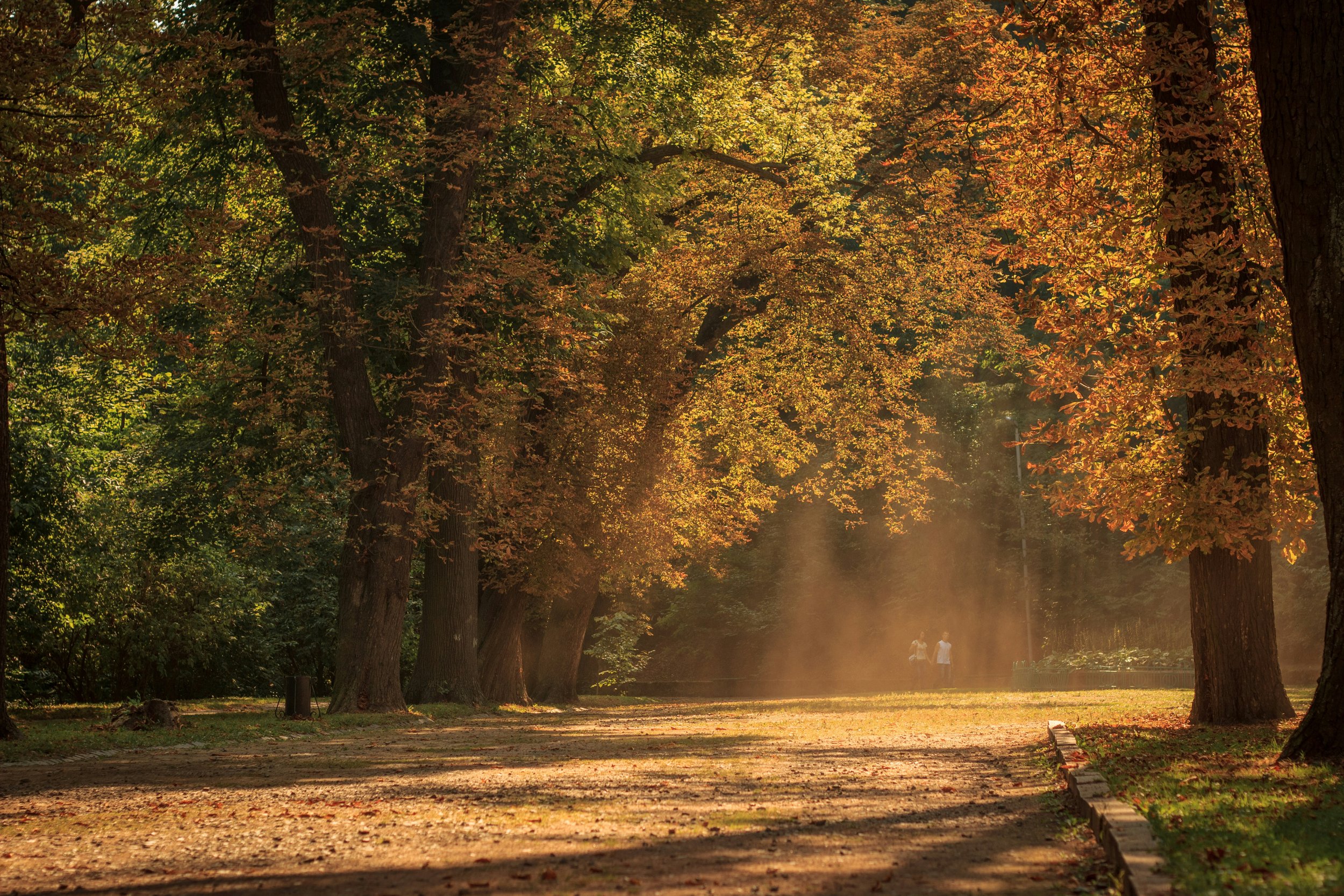 What to Keep in Your Natural Health Toolbox