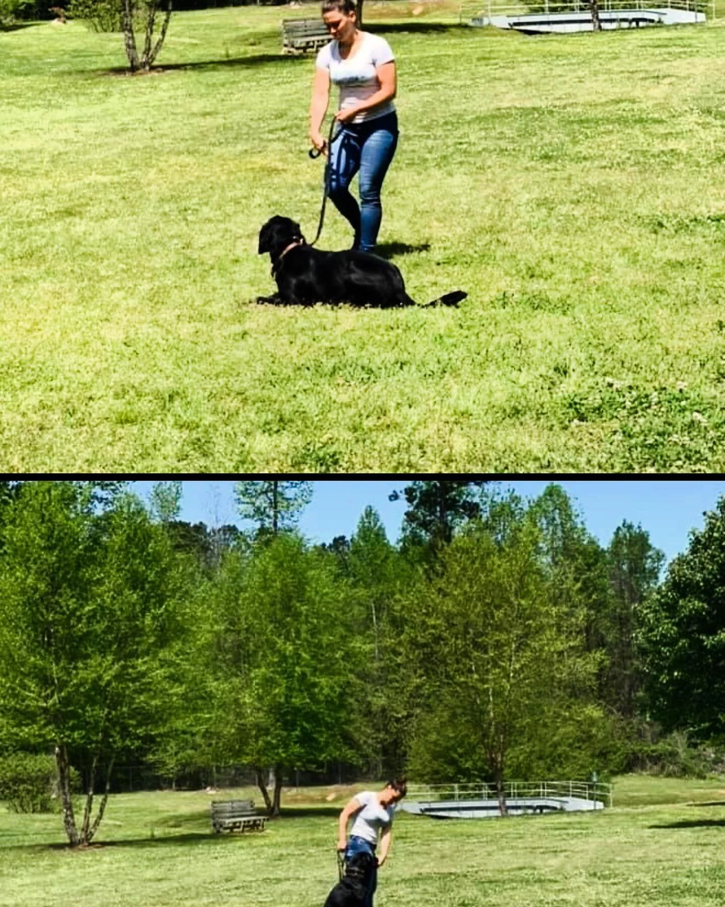 &ldquo;Do the best you can until you know better. Then when you know better, do better.&rdquo;

Maya Angelou

#dog #dogsofinstagram #dogmom #dogoftheday #dogtrainer #training #dobetter #reels #tiktok #instagram #social