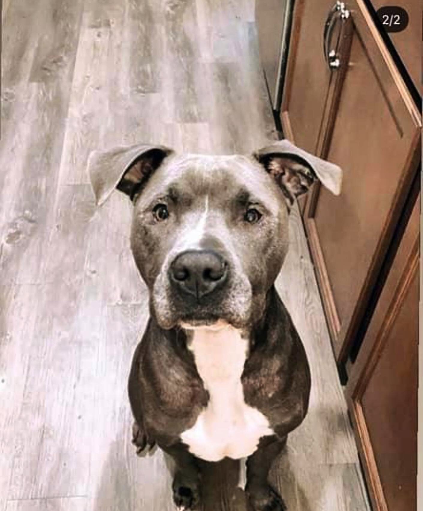 I hope you&rsquo;re dreaming of me like I&rsquo;m dreaming of you my handsome piglet. Mama loves you so much.