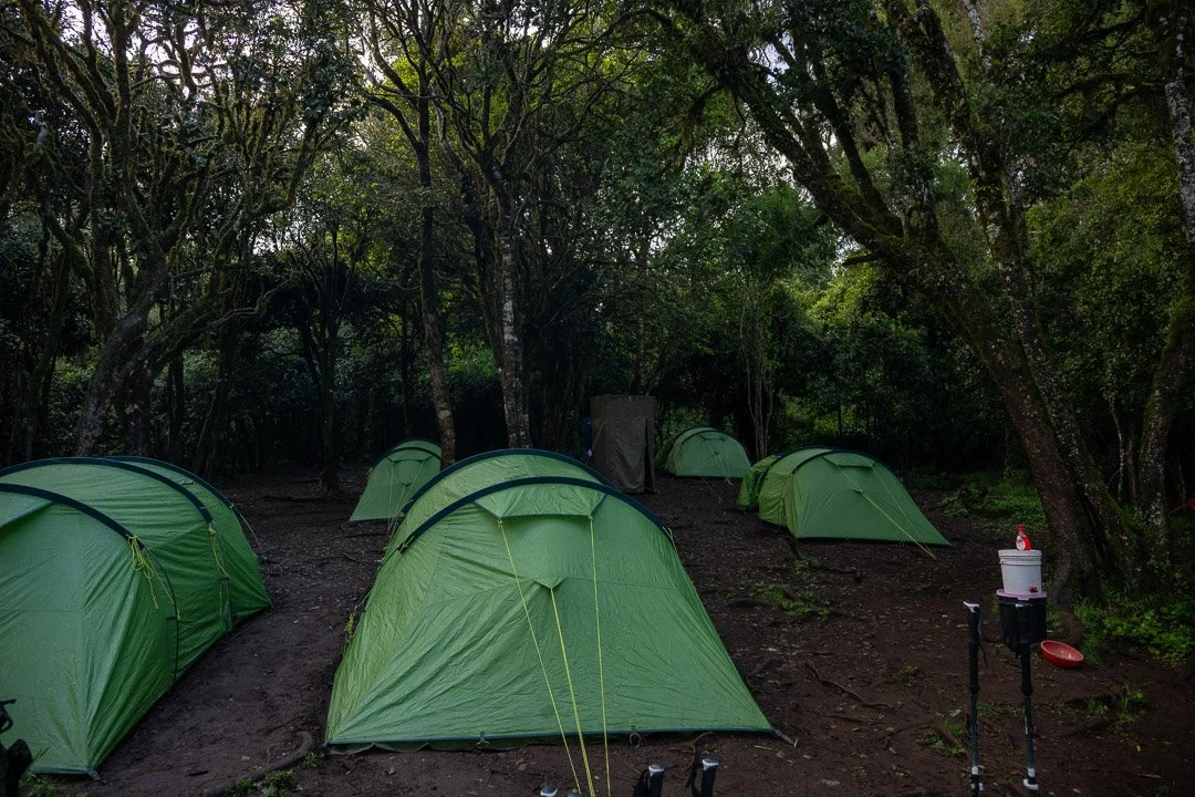 WS Mt Kilimanjaro 26-6752.jpg