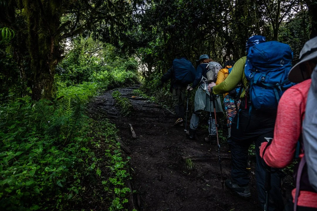 WS Mt Kilimanjaro 26-6755.jpg