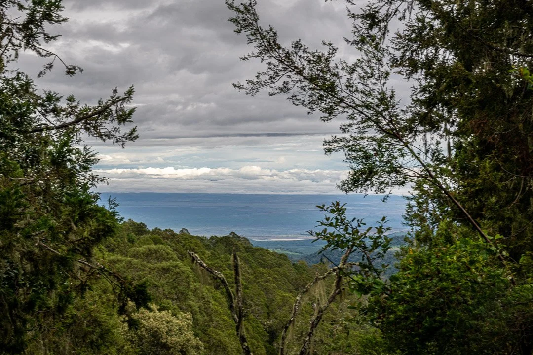 WS Mt Kilimanjaro 26-6781.jpg