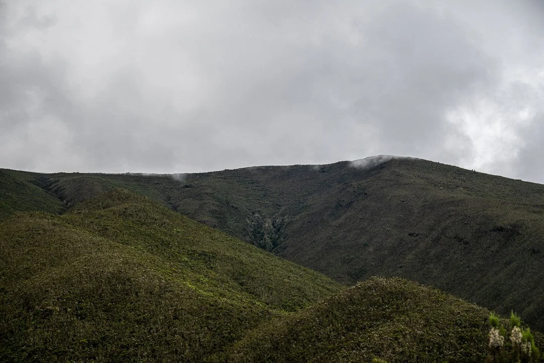 WS Mt Kilimanjaro 26-6824.jpg