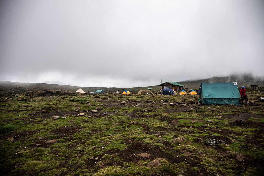 WS Mt Kilimanjaro 26-6900.jpg