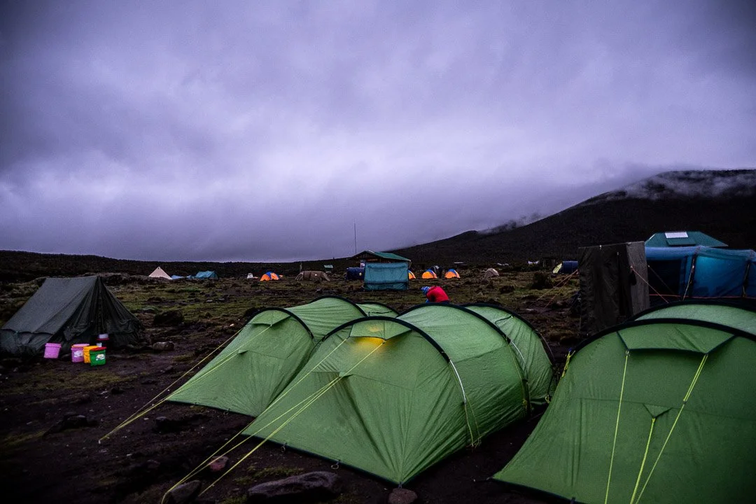 WS Mt Kilimanjaro 26-6916.jpg