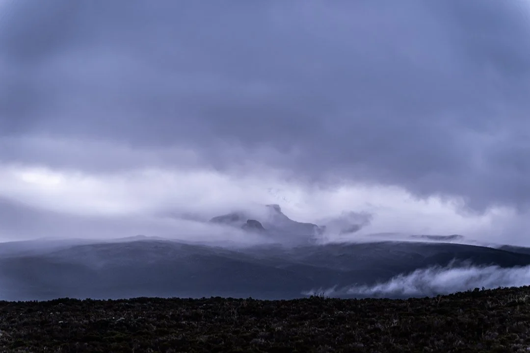 WS Mt Kilimanjaro 26-6922.jpg