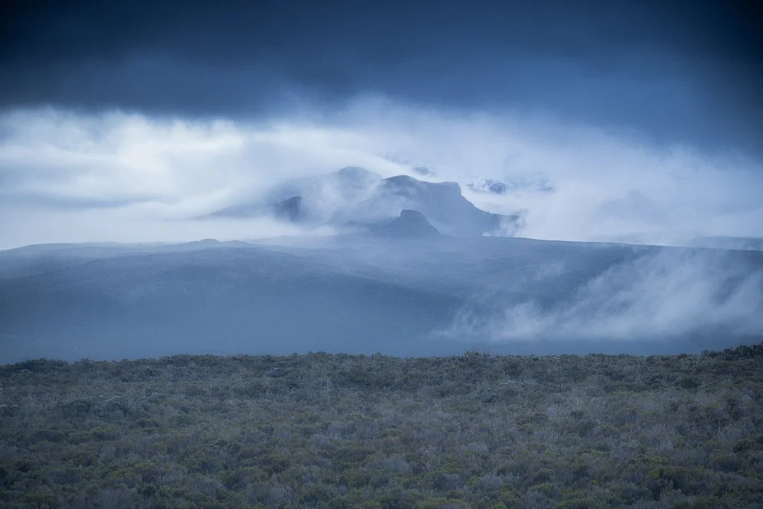 WS Mt Kilimanjaro 26-6924.jpg