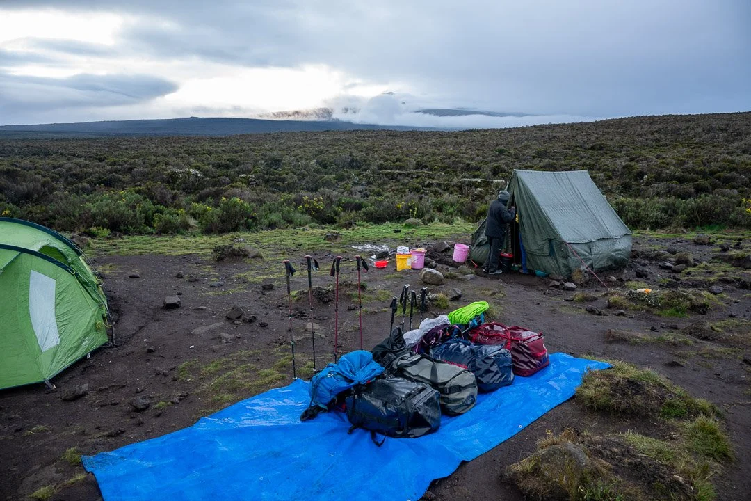 WS Mt Kilimanjaro 26-6931.jpg