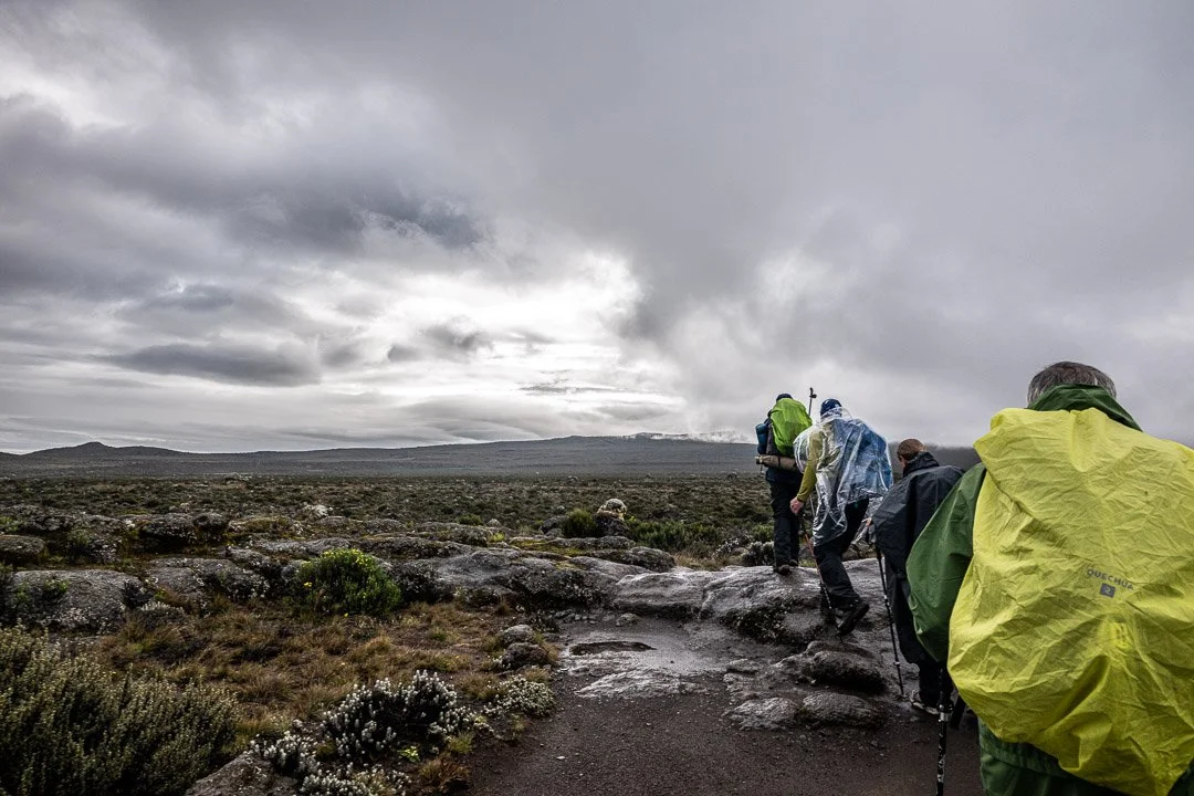 WS Mt Kilimanjaro 26-6957.jpg