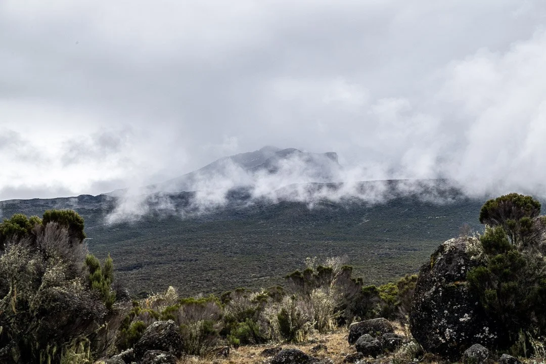 WS Mt Kilimanjaro 26-7035.jpg