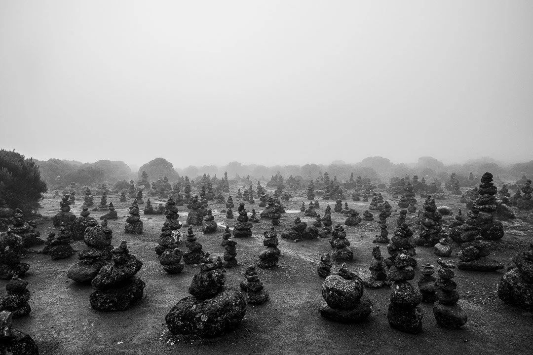 WS Mt Kilimanjaro 26-7083.jpg