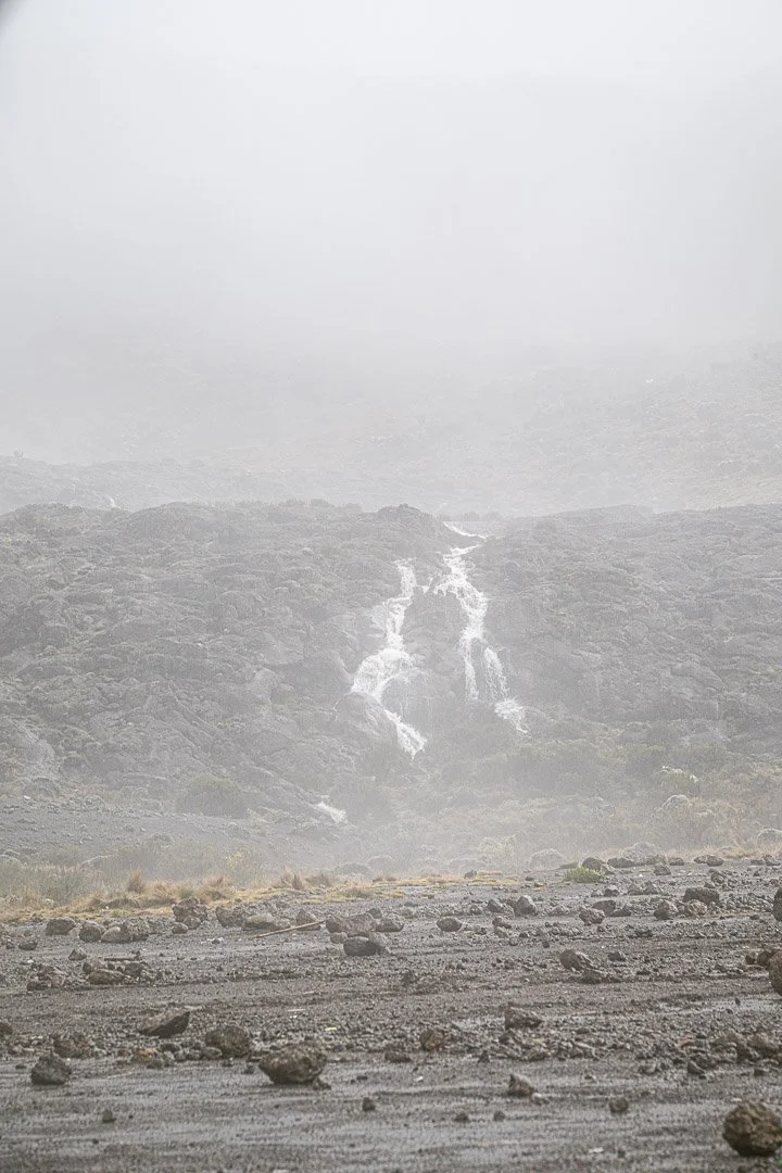 WS Mt Kilimanjaro 26-7284.jpg