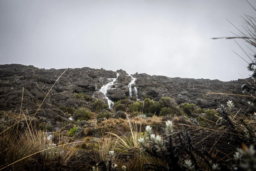 WS Mt Kilimanjaro 26-7360.jpg