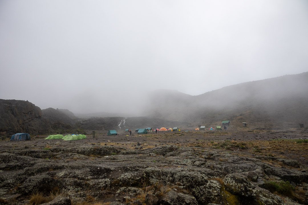 WS Mt Kilimanjaro 26-7384.jpg