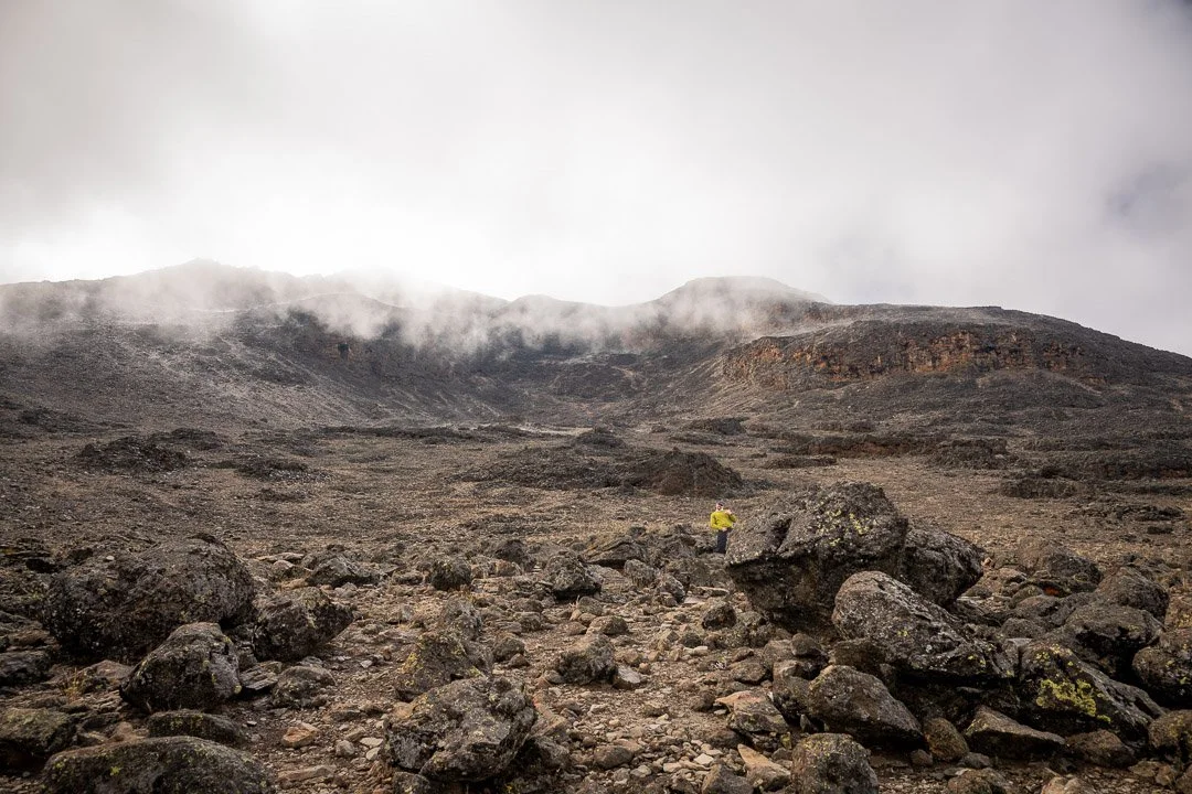 WS Mt Kilimanjaro 26-7487.jpg