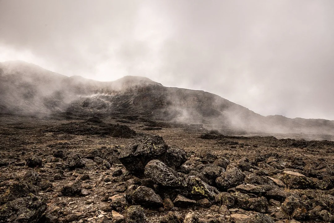 WS Mt Kilimanjaro 26-7494.jpg