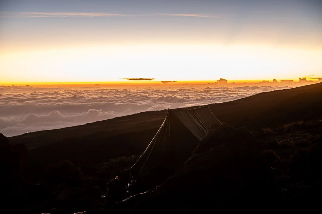 WS Mt Kilimanjaro 26-7573.jpg