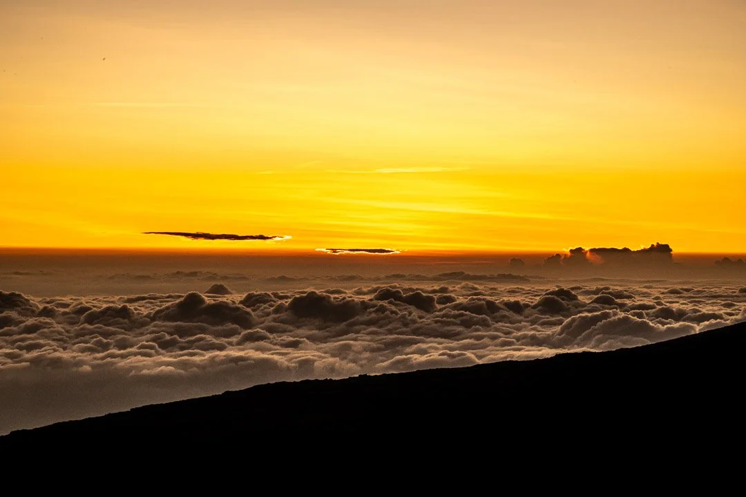 WS Mt Kilimanjaro 26-7611.jpg