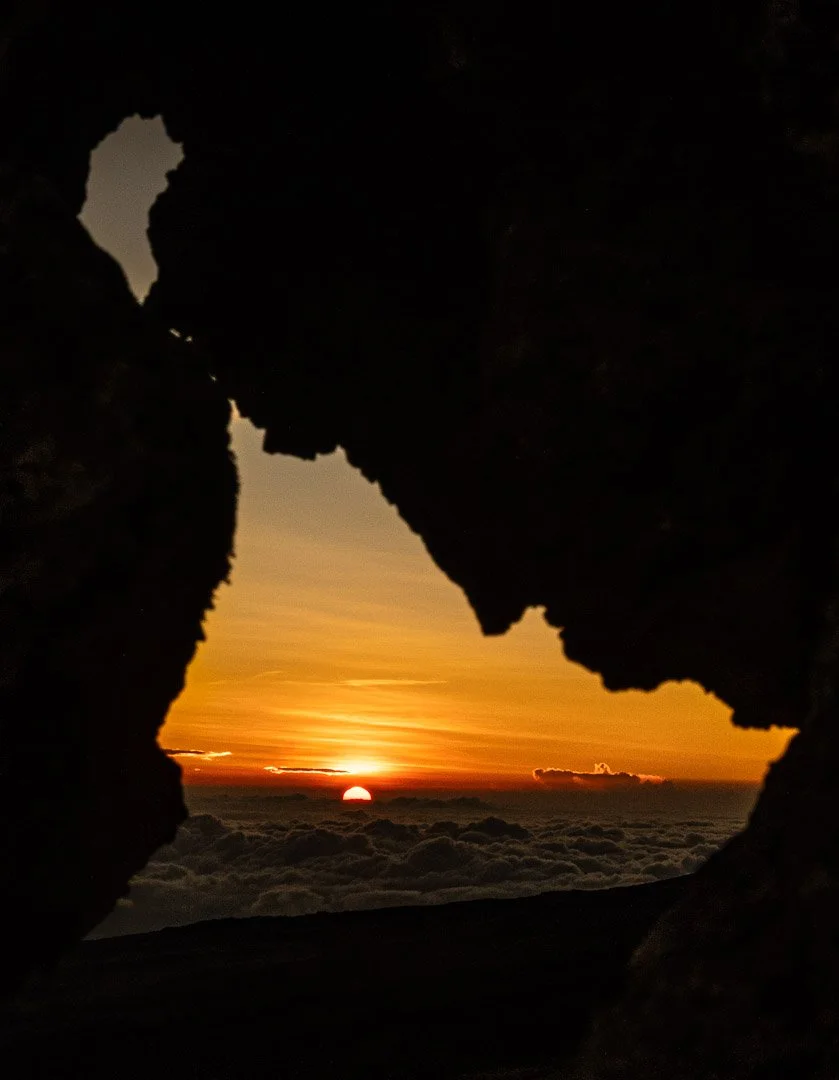 WS Mt Kilimanjaro 26-7621.jpg