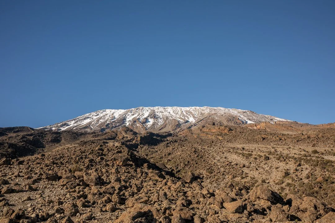 WS Mt Kilimanjaro 26-7884.jpg