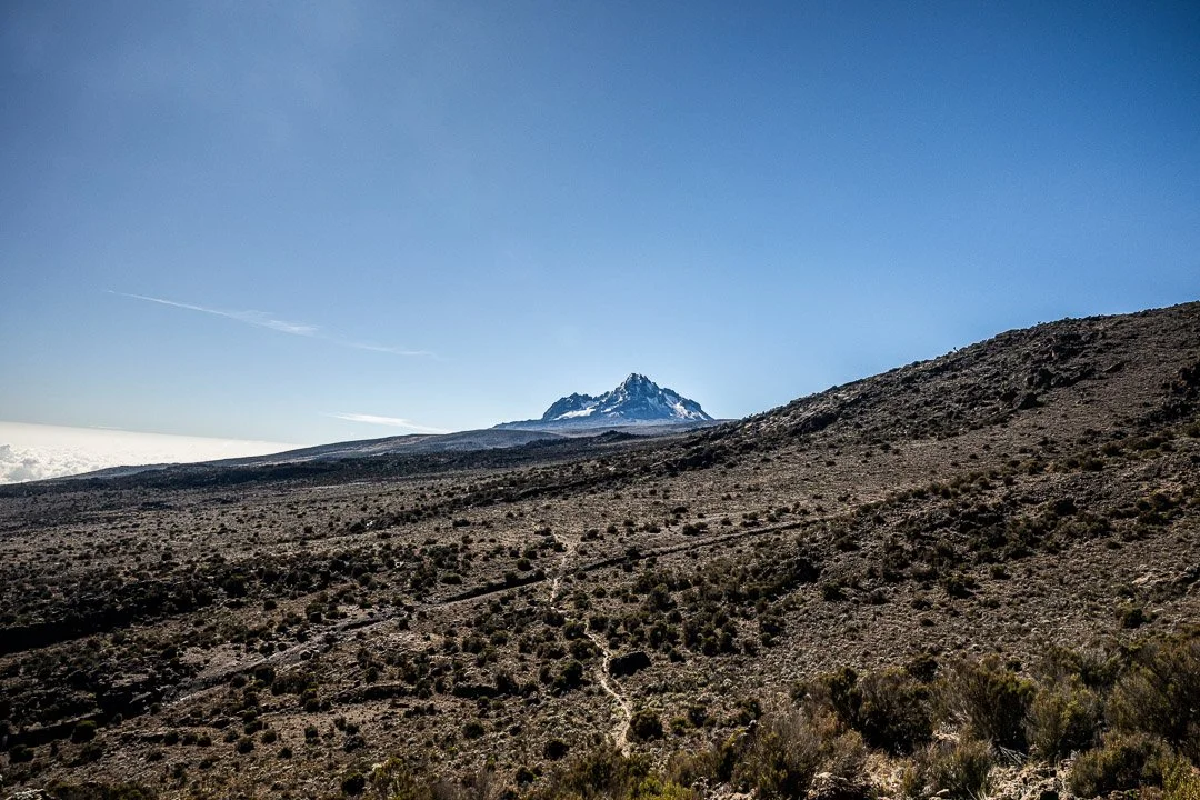 WS Mt Kilimanjaro 26-7934.jpg