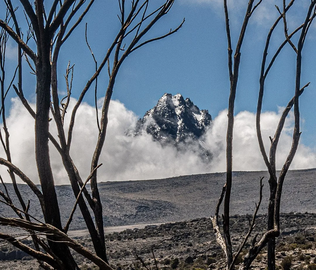 WS Mt Kilimanjaro 26-8019.jpg