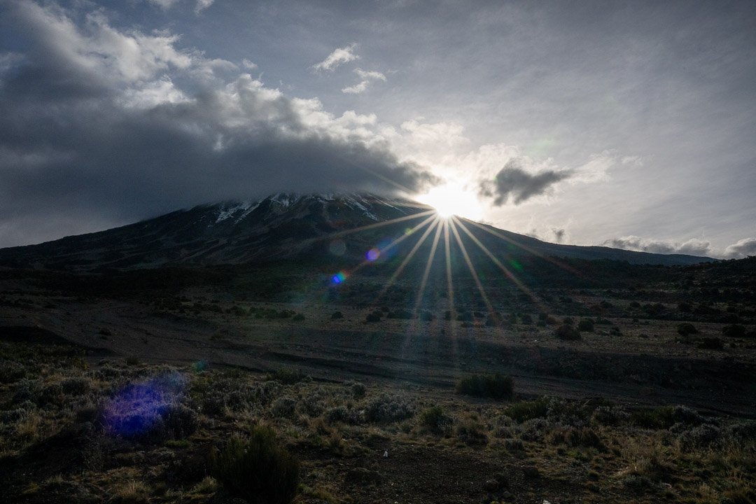 WS Mt Kilimanjaro 26-8091.jpg
