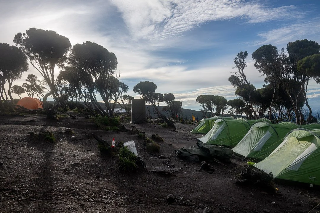 WS Mt Kilimanjaro 26-8432.jpg