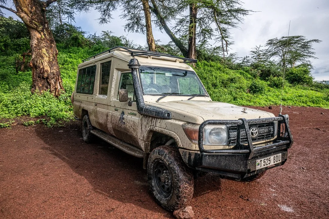 WS - Safari-8687.jpg