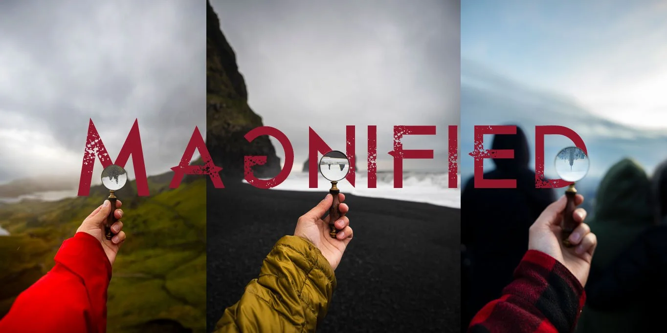 Magnified-Header-Final copy.jpg