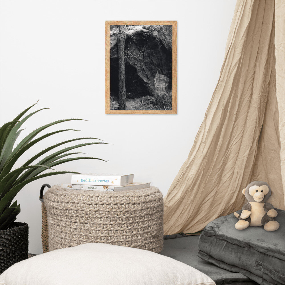 enhanced-matte-paper-framed-poster-(cm)-oak-30x40-cm-front-60845eb0a49f5.jpg