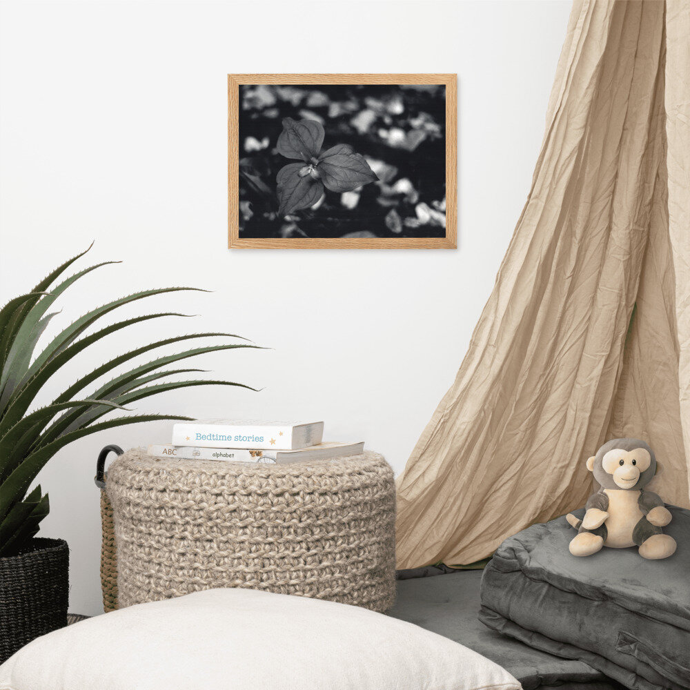 enhanced-matte-paper-framed-poster-(cm)-oak-30x40-cm-front-60845f265de98.jpg