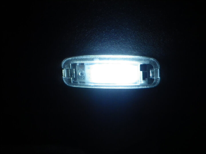 Fire Fly Dome Element.jpg