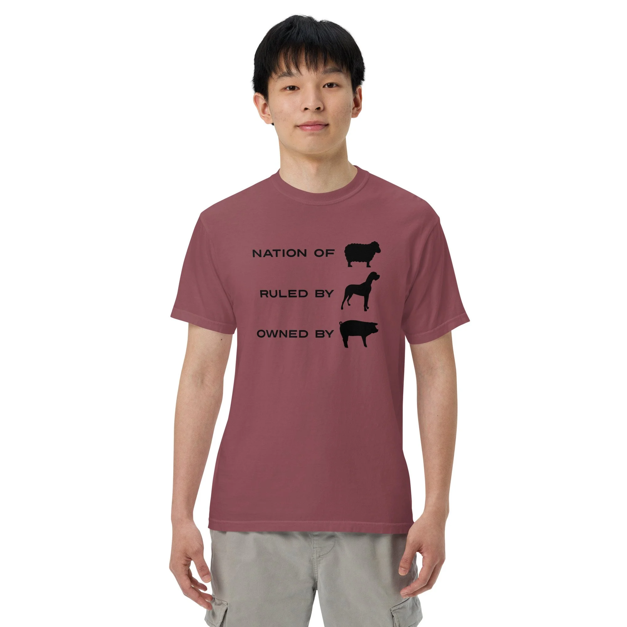 mens-garment-dyed-heavyweight-t-shirt-brick-front-63f13d7ab2763.jpg