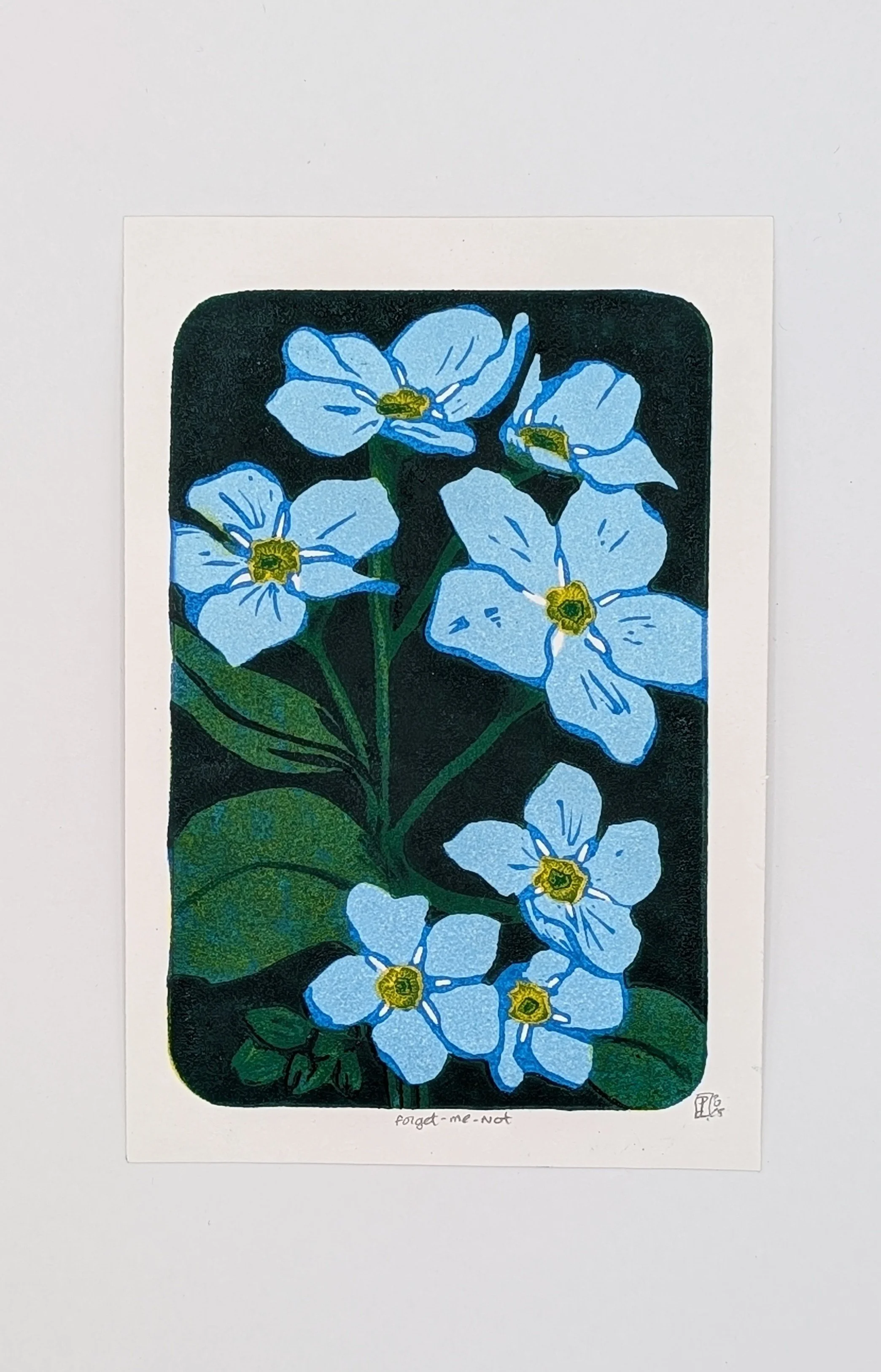 Forgetmnots 1.jpg