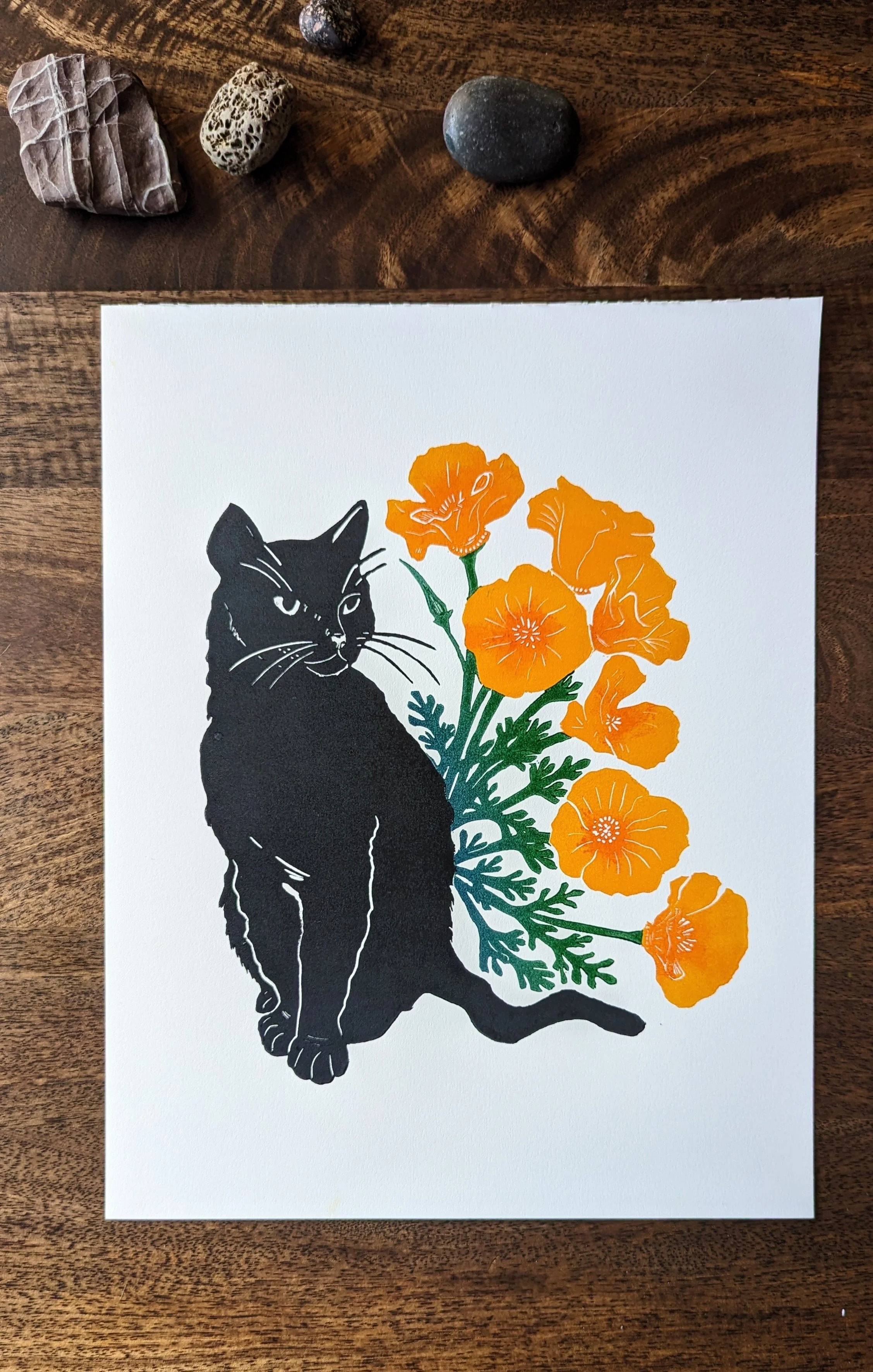 Pareto_Backyard Spring.jpg