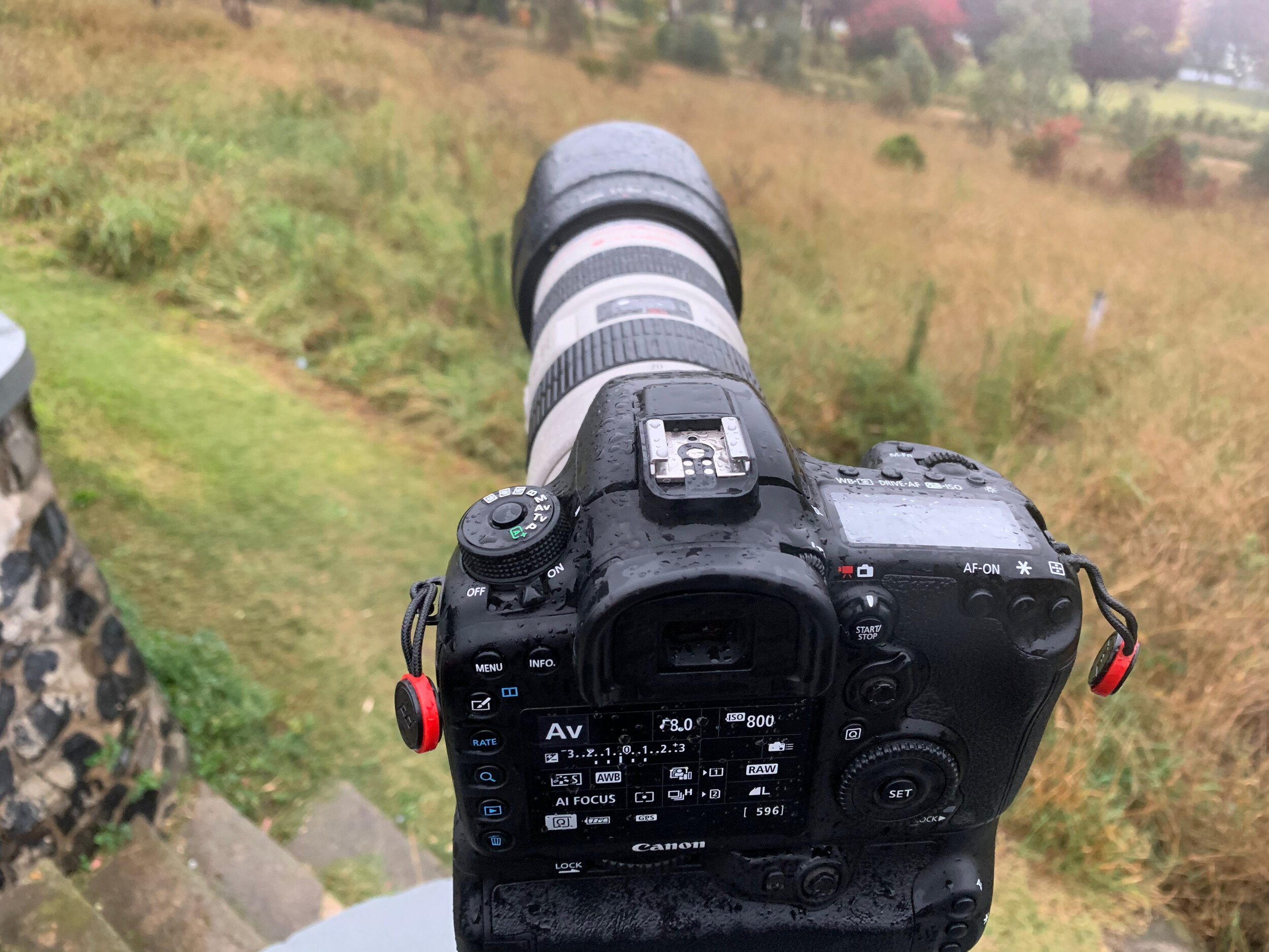 Good thing the Canon gear I have has some weather resistance designed into it.