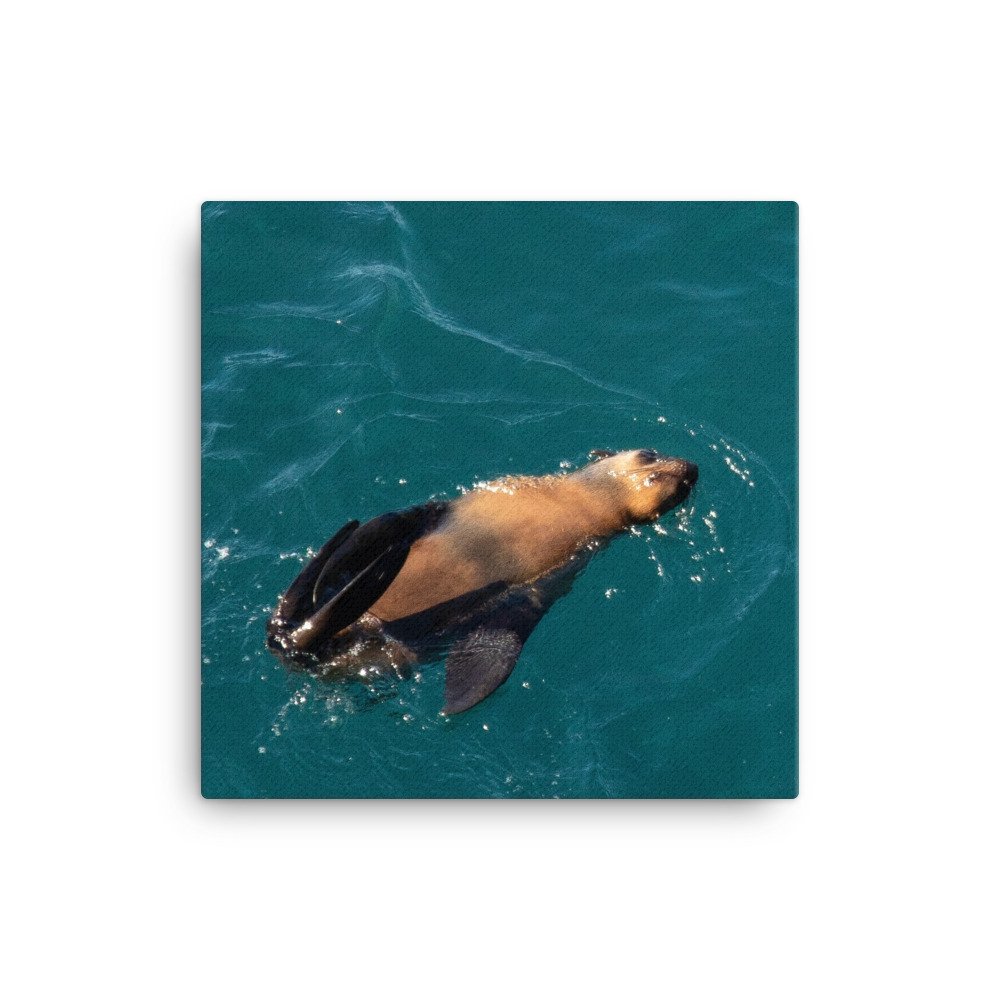 canvas-(in)-16x16-wall-65d980ee8910e.jpg