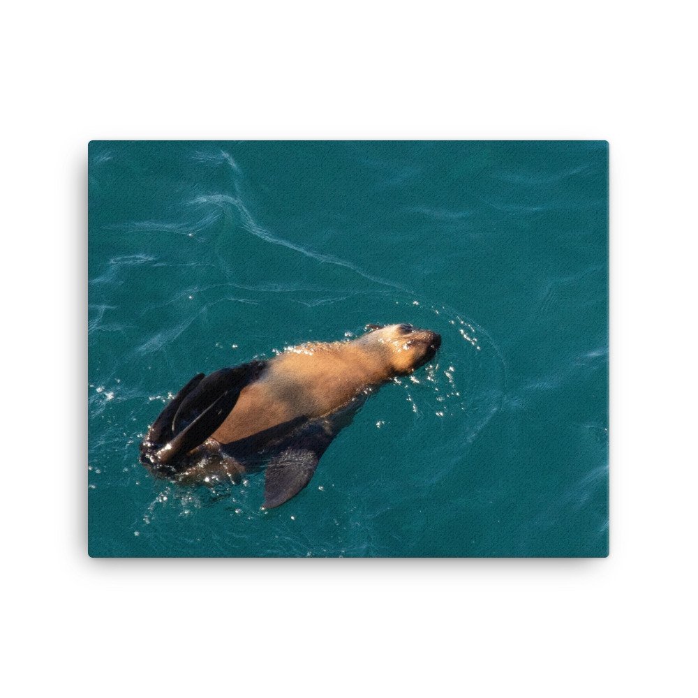 canvas-(in)-16x20-wall-65d980ee891a0.jpg