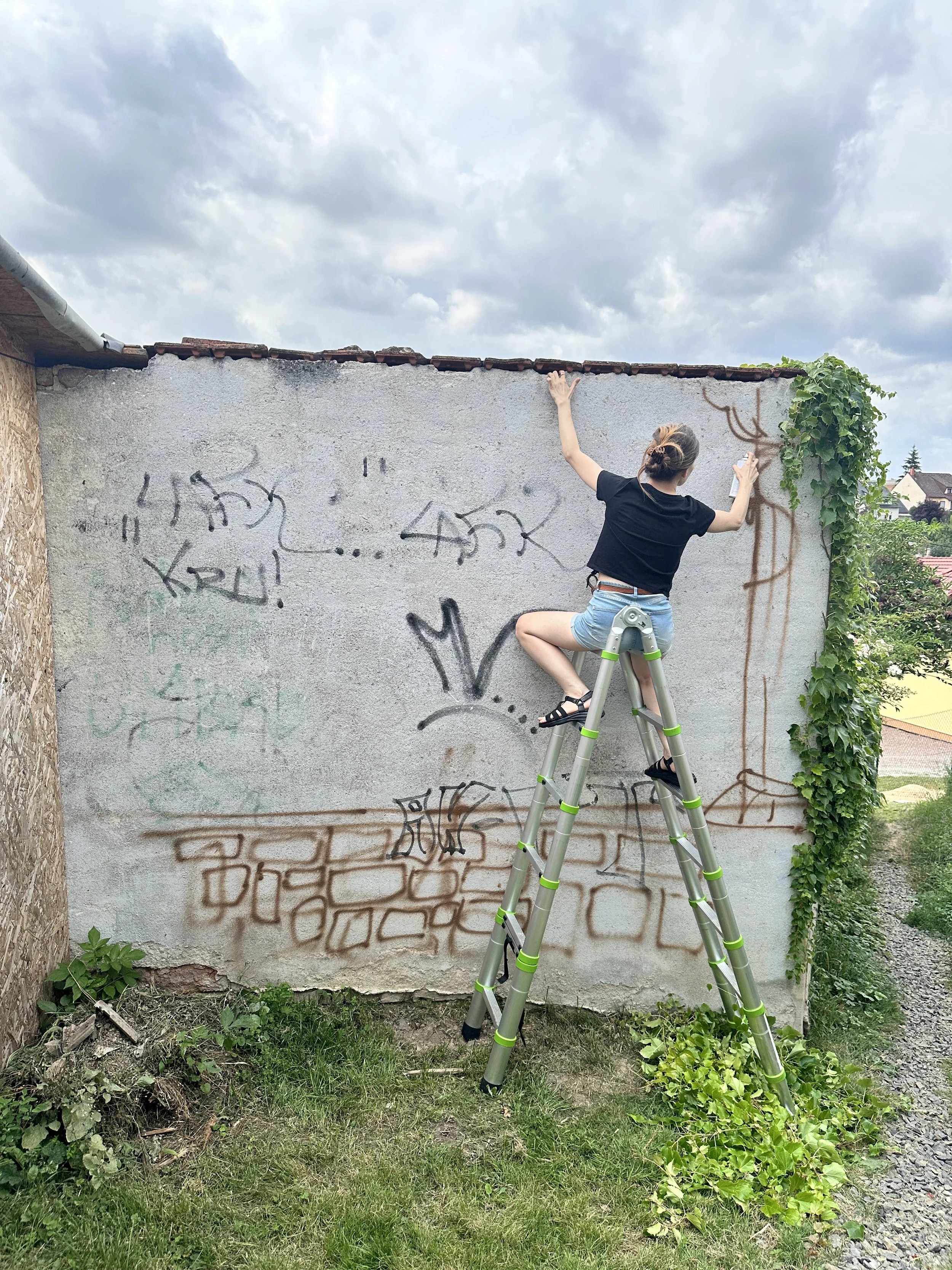 ladder needed for the 3m height