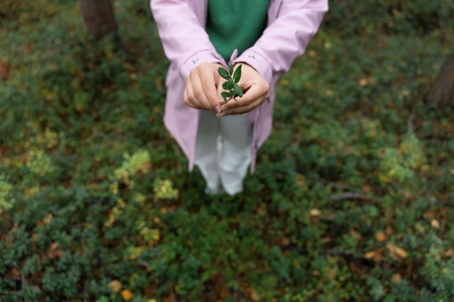 8.12. &amp; 21.1. Koulutus: Frost &amp; Sullivan -markkinatietokanta