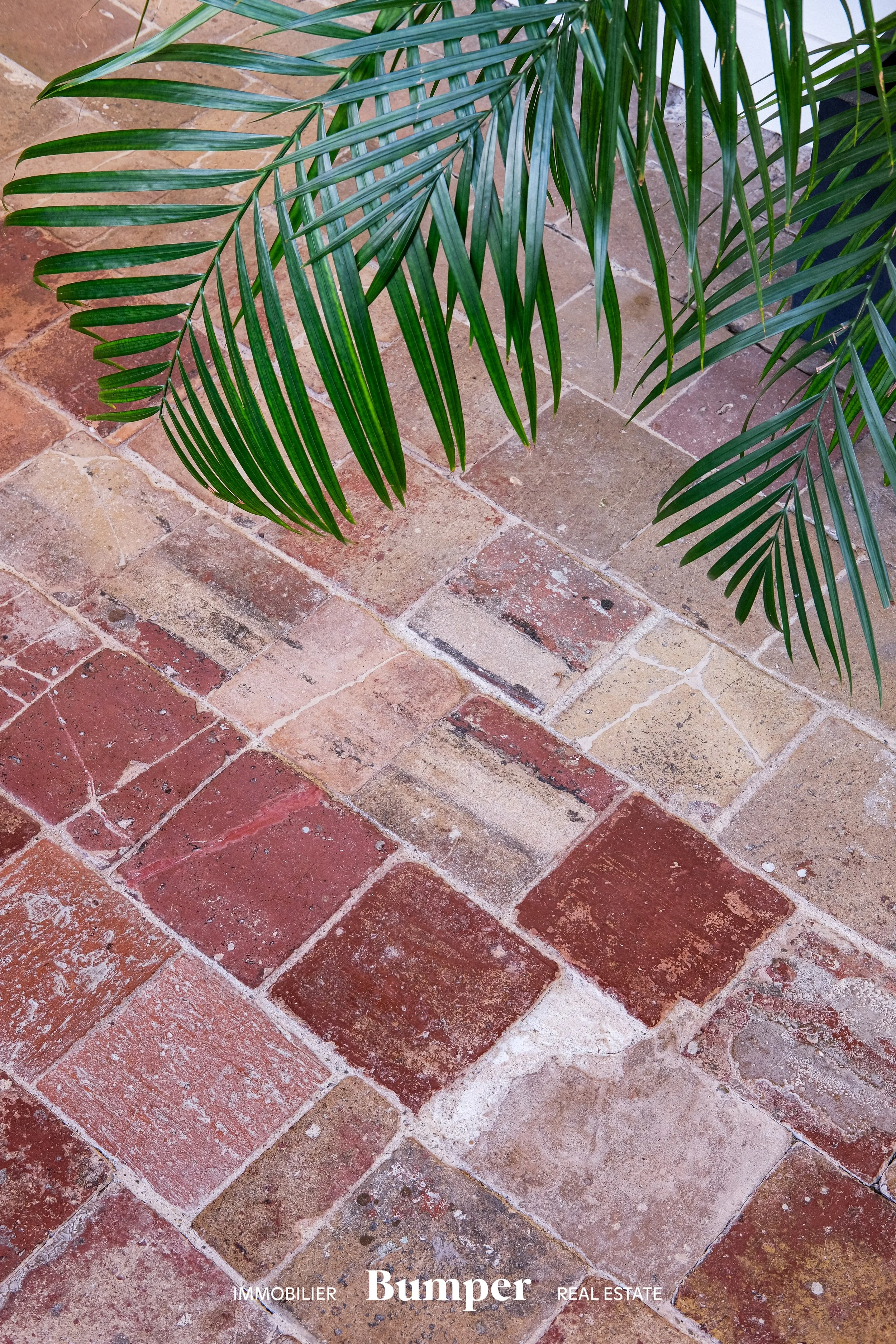 DSCF8615-1.jpg